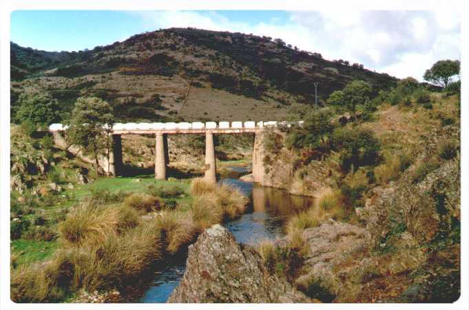 El Puente 2001